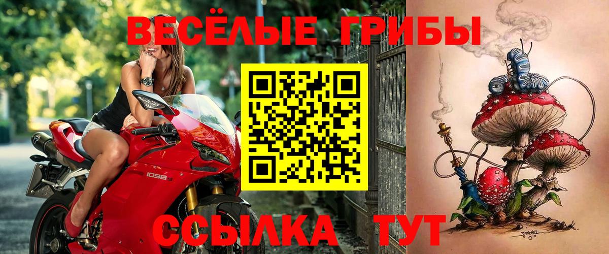 Псилоцибиновые грибы Magic Shrooms  Вход с VPN  Людиново  Галлюциногенные грибы мицелий 
