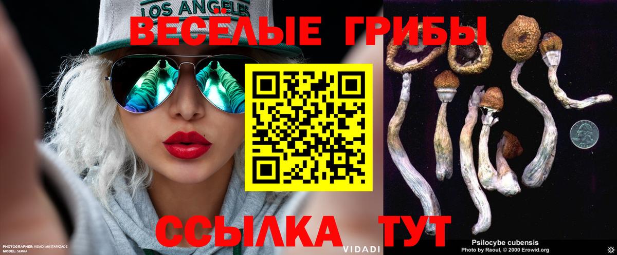 Псилоцибиновые грибы ЛСД Людиново